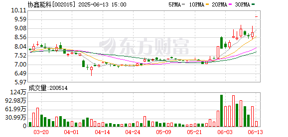 出彩速配 协鑫与蚂蚁联手发力“能源+AI”，蚂蚁鑫能落地2025 SNEC现场