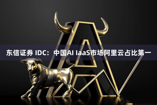 东信证券 IDC：中国AI IaaS市场阿里云占比第一